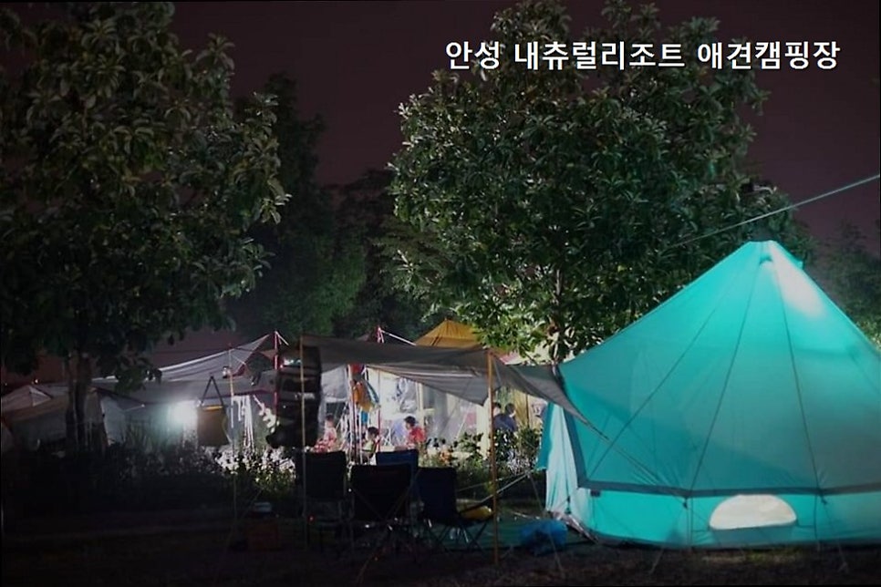 내츄럴리조트애견캠핑장 사진 3