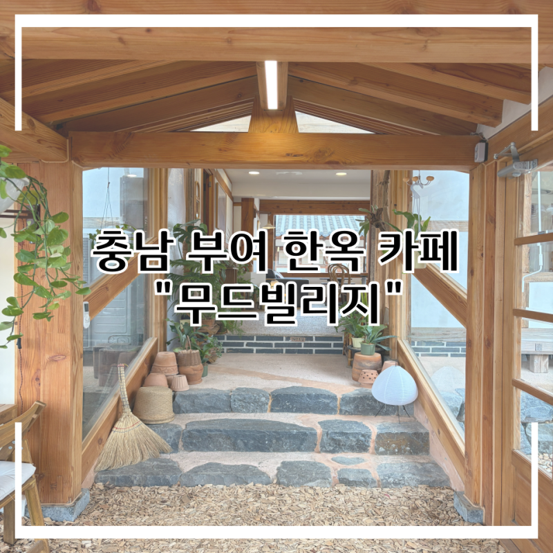 사진 5