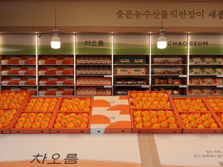  제주도 특산물 중문농수산물직판장 차오름 천혜향 택배