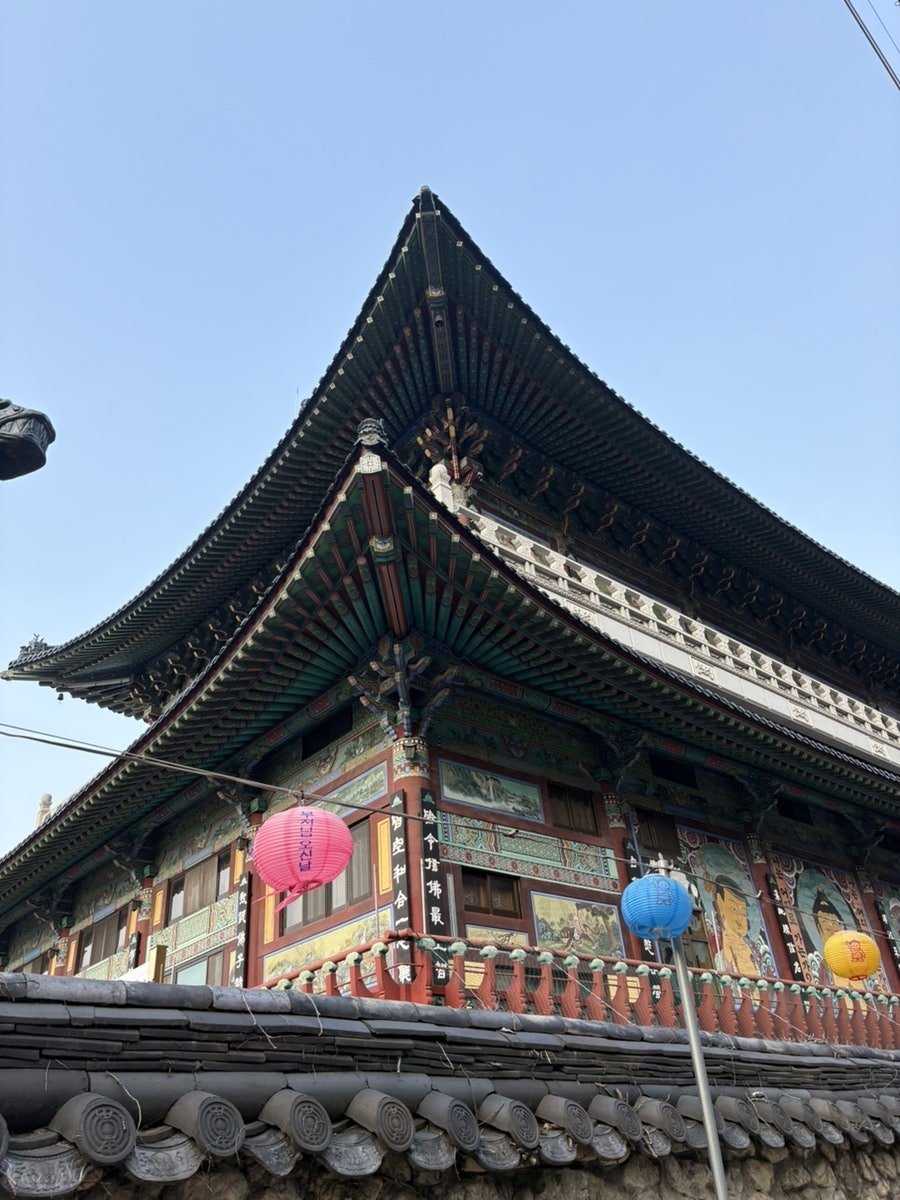 앙꼬아지 사진 5