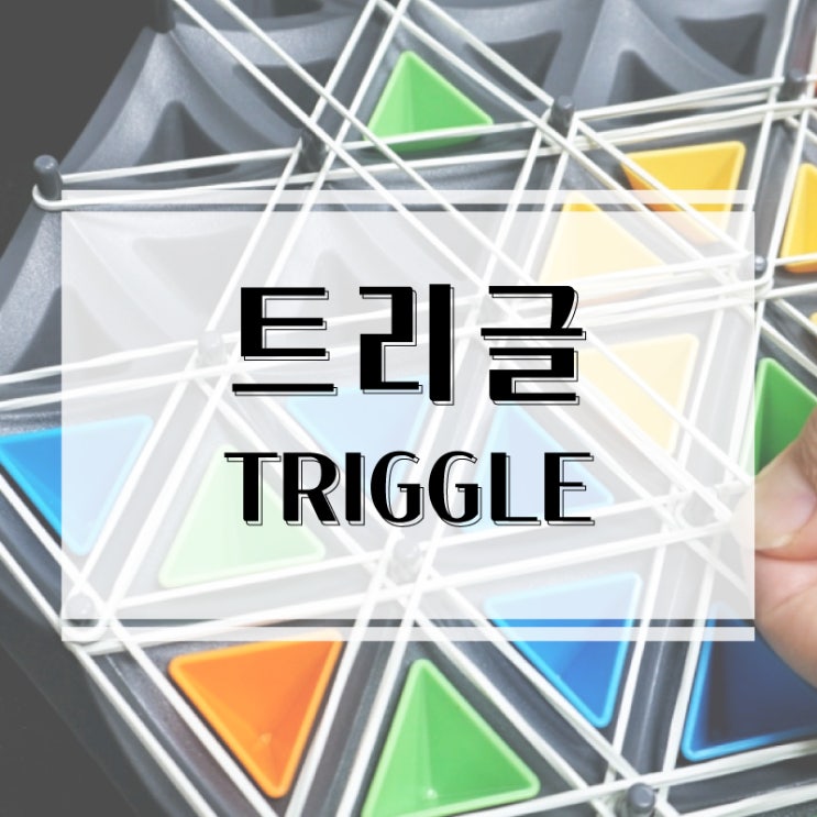  요즘 인스타에서 핫한 땅따먹기 게임! 트리글 보드게임 개봉기 & 플레이 후기