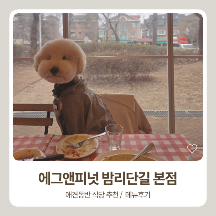  일산 애견동반 식당 맛집: 에그앤피넛 밤리단길본점