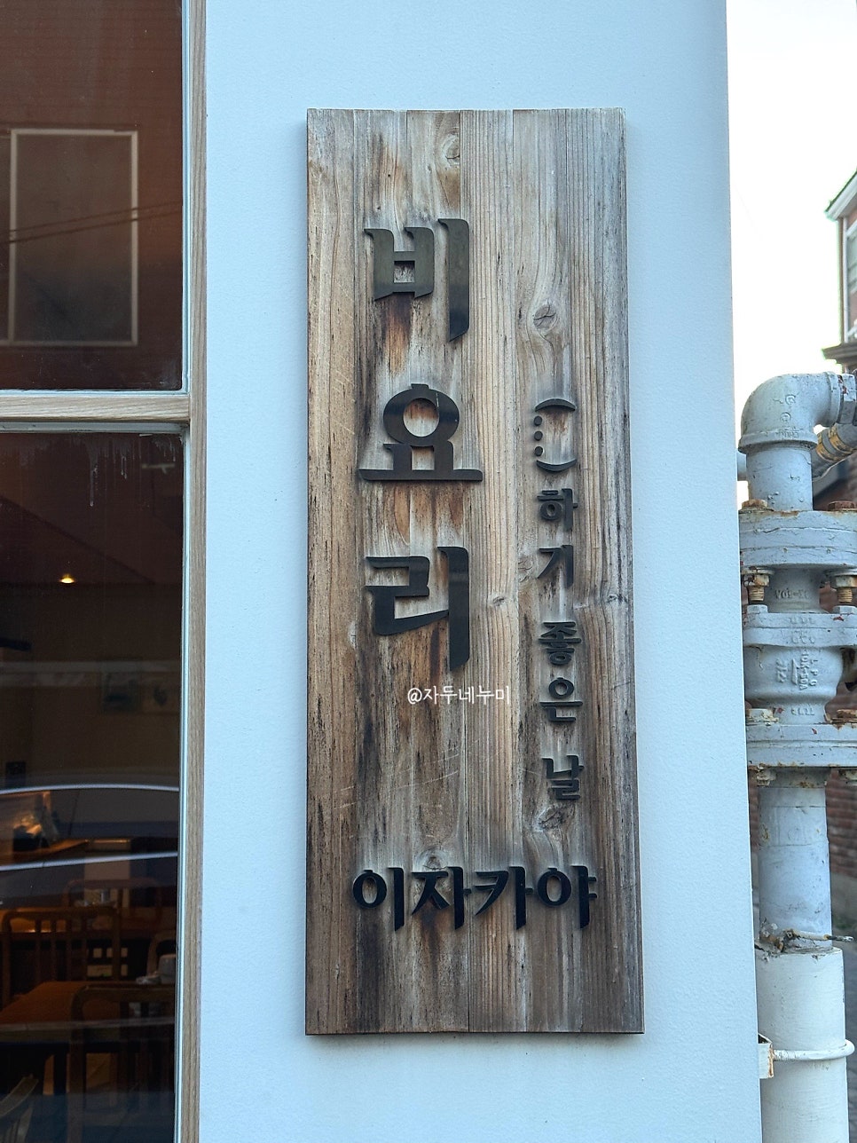 비요리 사진 3
