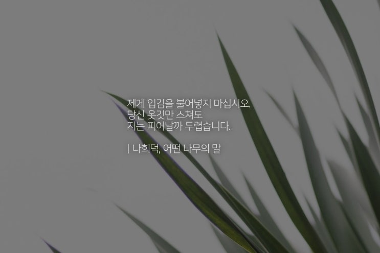  삶을 생동감있게 산다는 것.