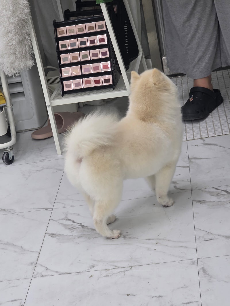 사진 7