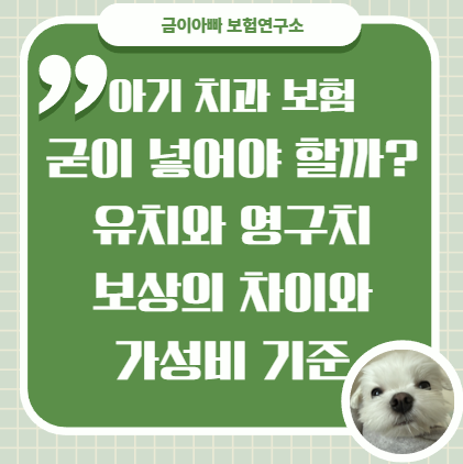 아기 치과 보험, 굳이 넣어야 할까? 유치와 영구치 보상의 차이와 가성비 기준