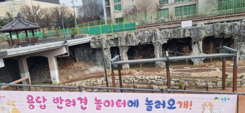 사진 5