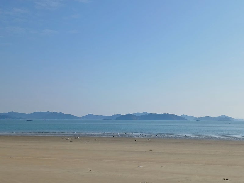 사진 3