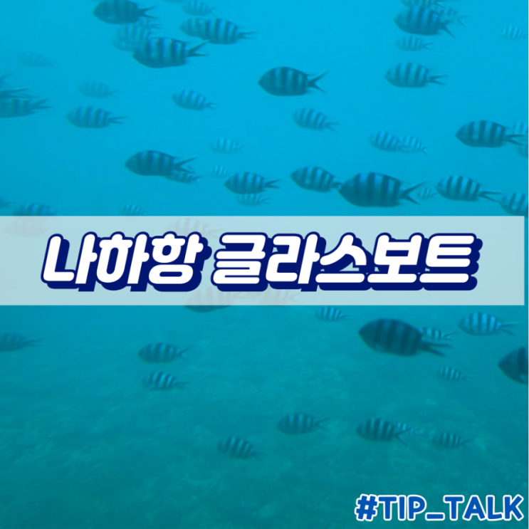  오키나와 글라스 보트 투어 나하항 오르카호