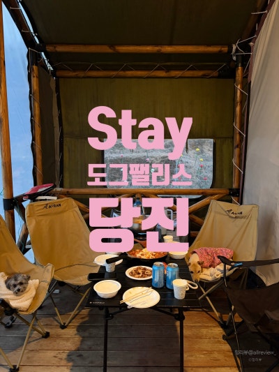 사진 4