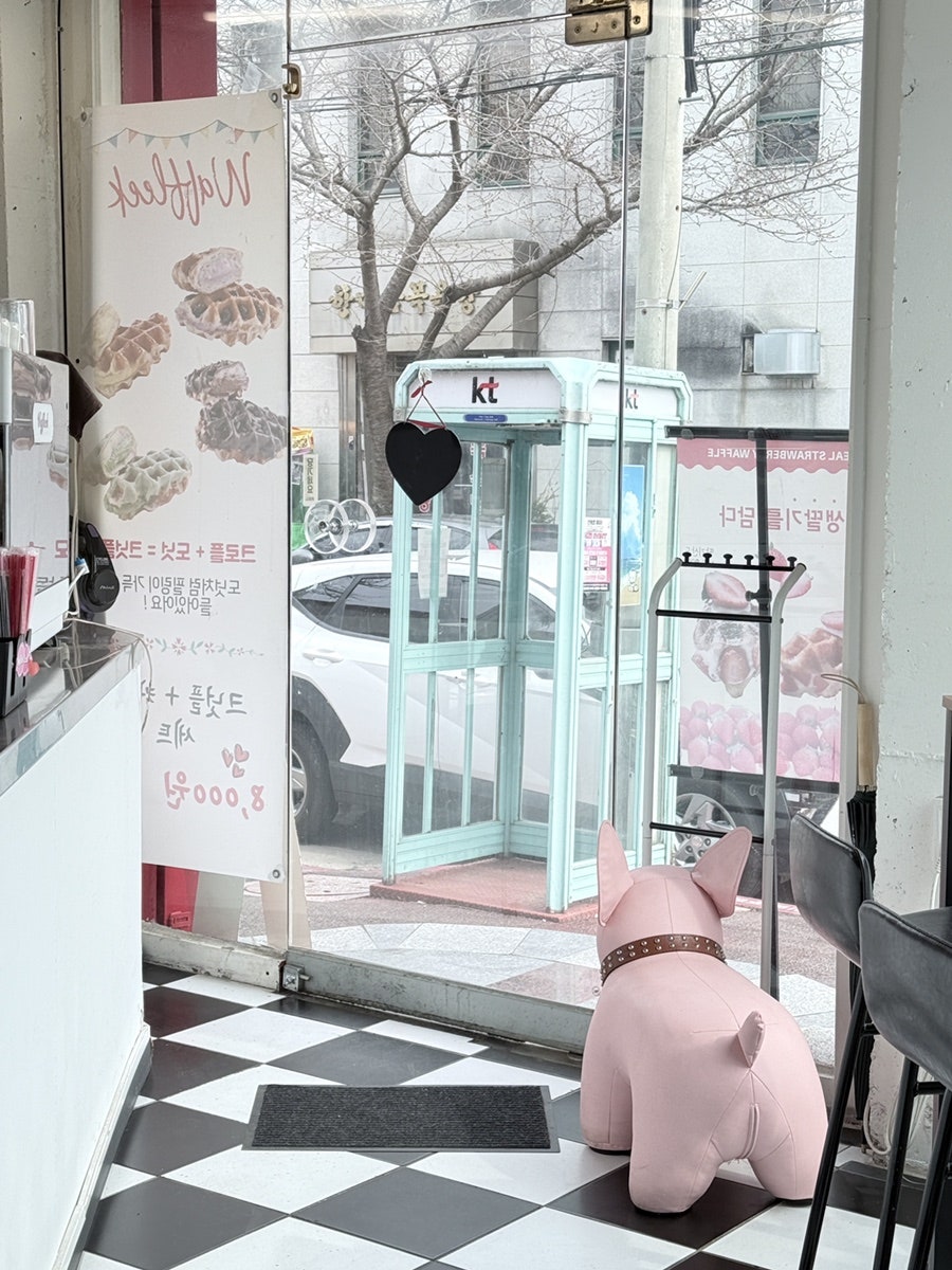 와플릭 사진 5