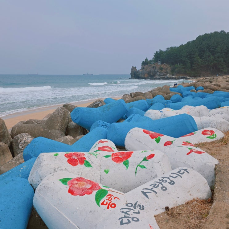  동해바다 한섬 감성바닷길 코스 한섬해변 산책 후기 강원도 여행지 동해시 가볼한한 곳