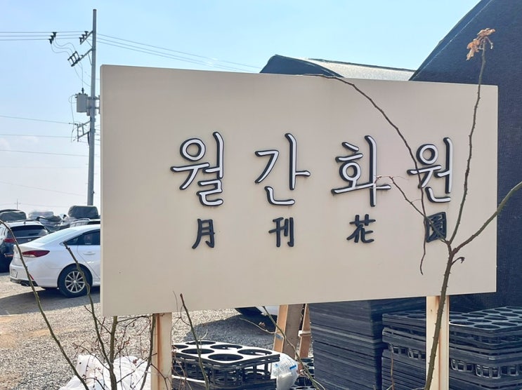  월간화원 오프라인 매장 가는 방법 & 방문 팁