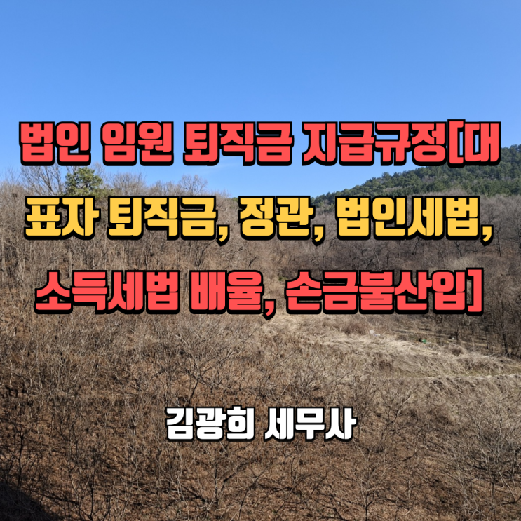  법인 임원 퇴직금 지급규정[대표자 퇴직금, 정관, 법인세법, 소득세법 배율, 손금불산입, 근로소득]