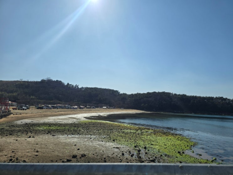  부산근교 거제도 차박 캠핑 낚시터 거제 황포해수욕장