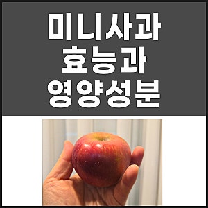 미니사과 효능과 영양성분 알려드릴게요