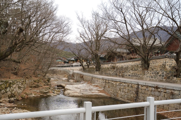  통도사, 비워낸 마음에 채워진 풍경
