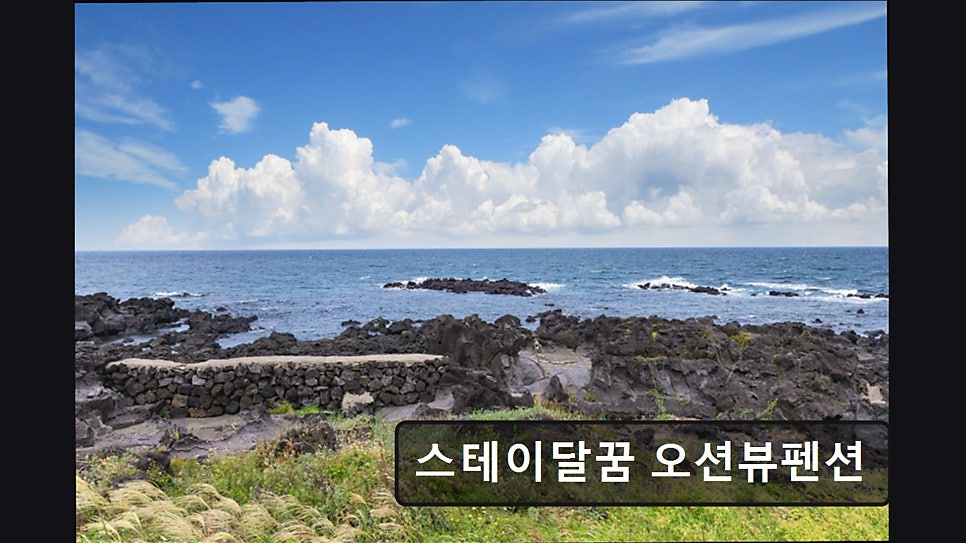 스테이달꿈 사진 5