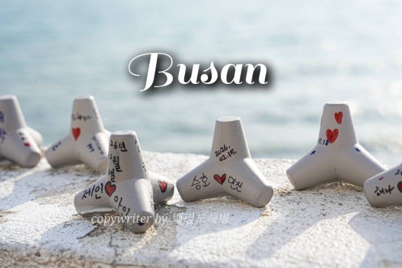 사진 4