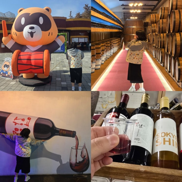  충북 영동 여행 가볼만한곳 영동와인터널 입장료 할인 꿀팁