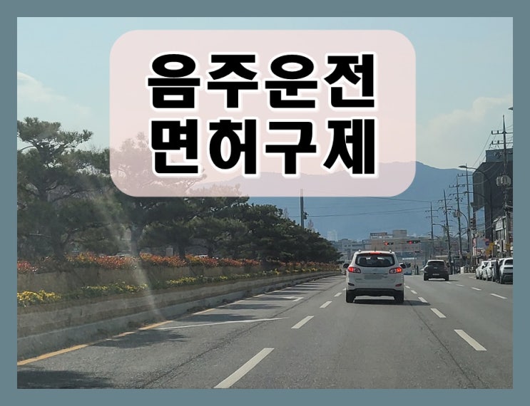  음주운전 두번 단속 걸리면 면허취소 2년?
