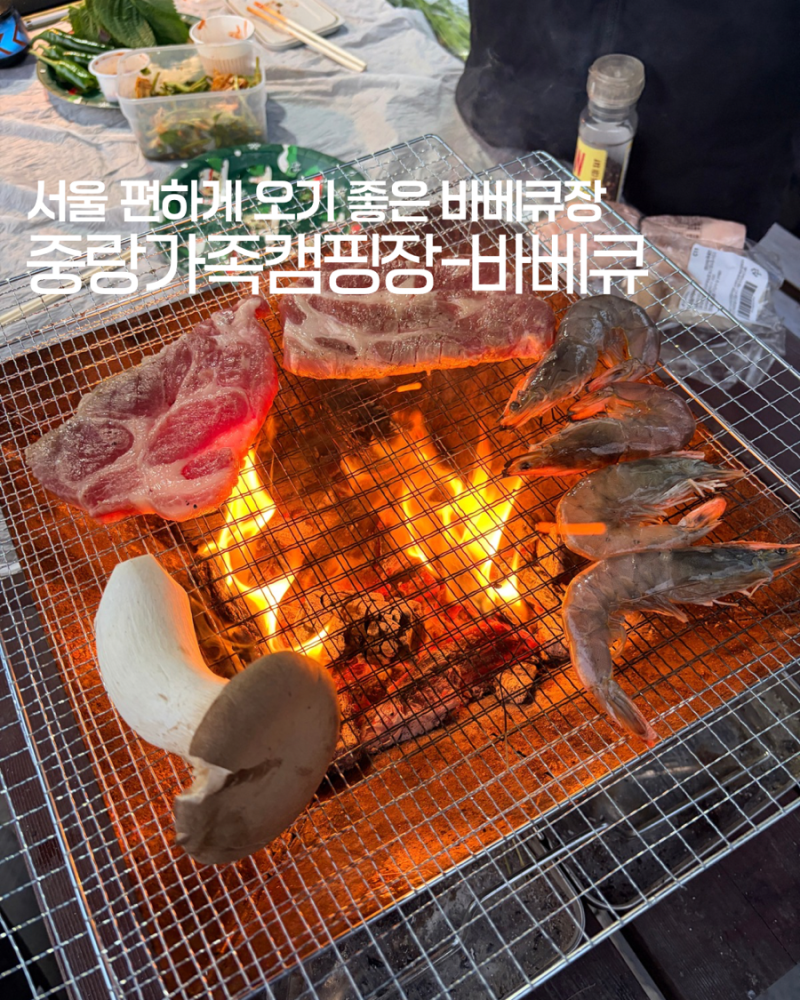 서울 바베큐장 추천 중랑가족캠핑장 바베큐장 이용후기 - 서울에서 숯불 바베큐 즐기기 내돈....
