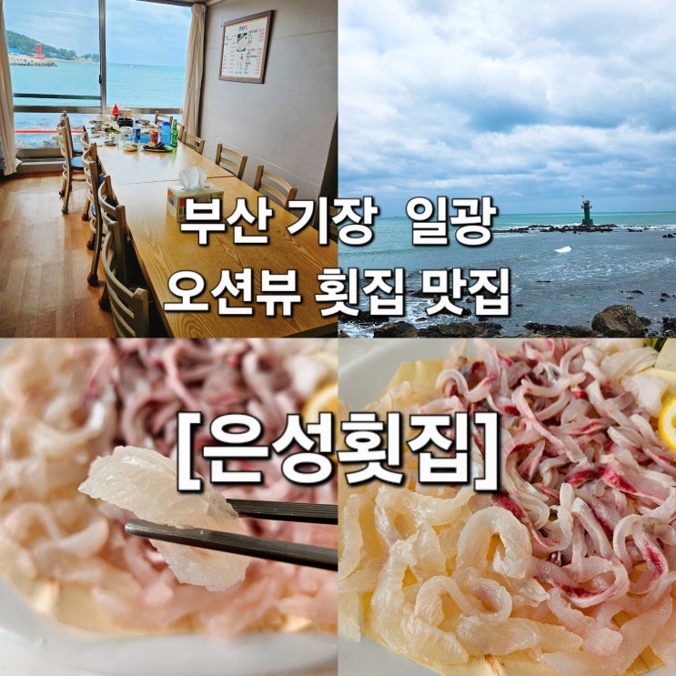  부산 기장 일광 바다 풍경 보며 즐기는 회 한상 '은성횟집'