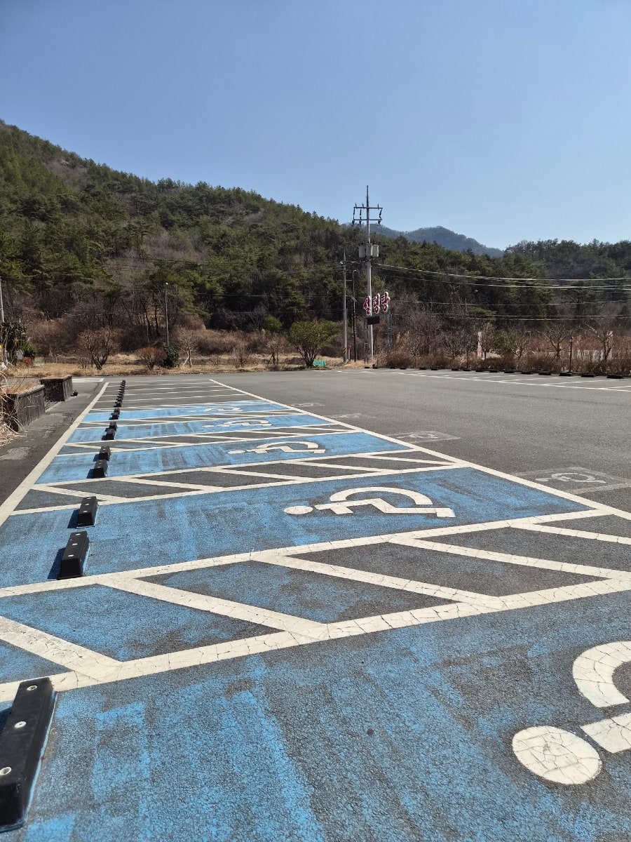벽오동설렁탕전문점 사진 2