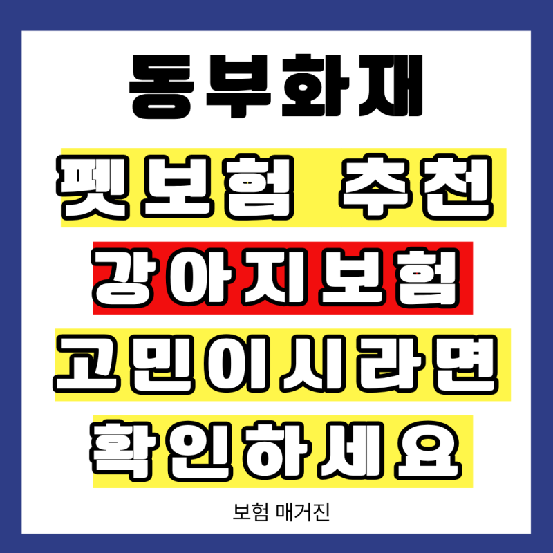 동부화재 펫보험 추천 이유, 강아지 보험 고민이라면 확인하세요