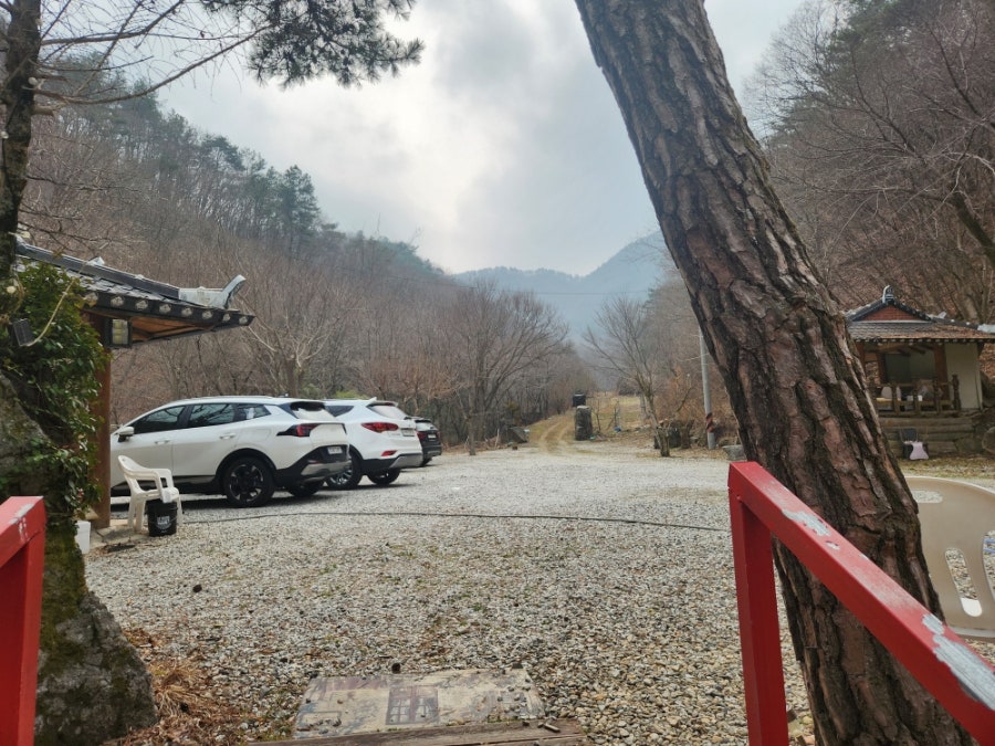 명품 송어 사진 4