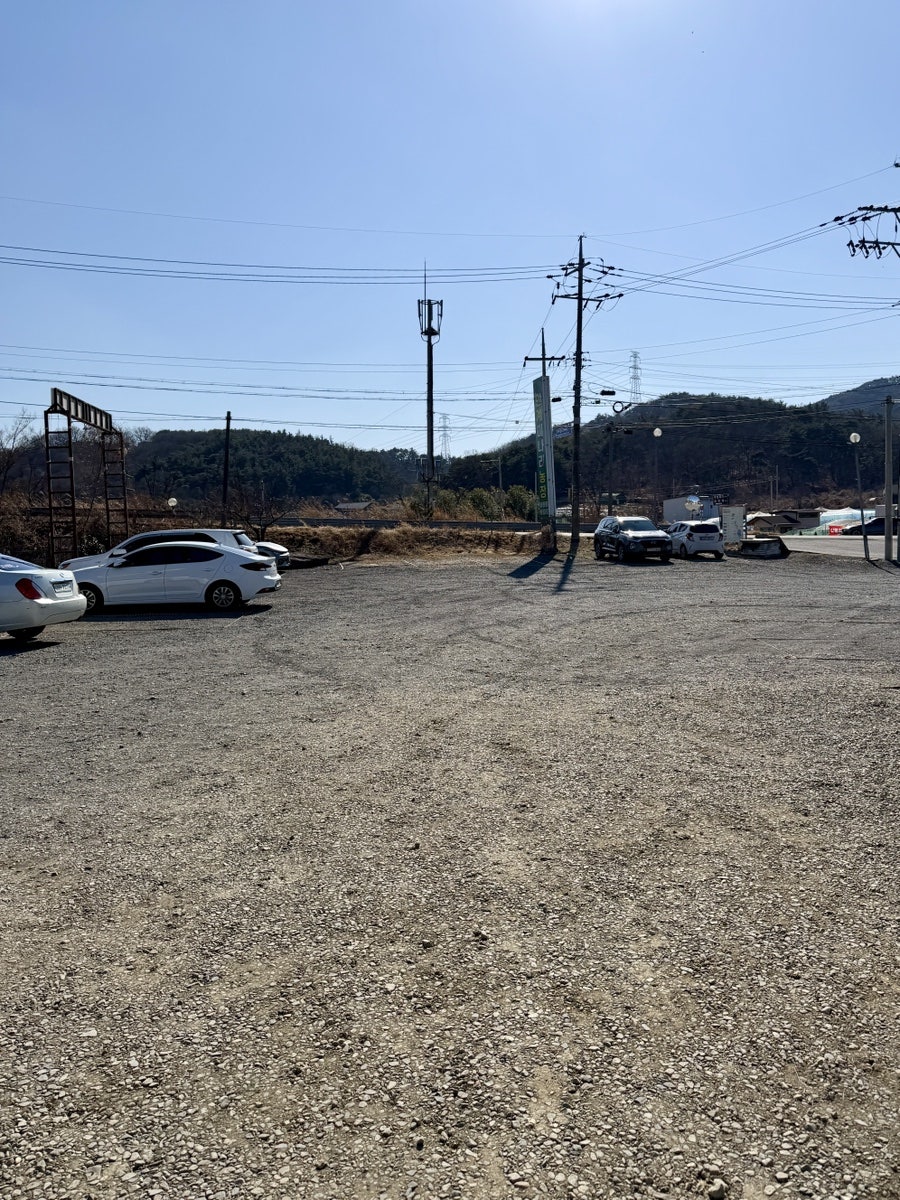 안계미나리농장 사진 5