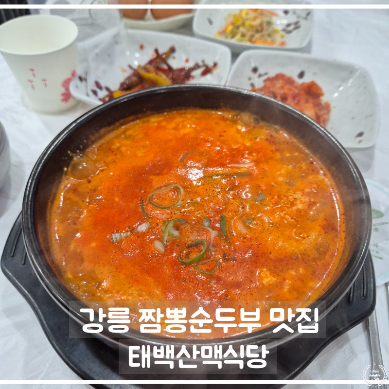 강릉 ㅣ 태백산맥 식당 순두부 맛집 모든 메뉴 다 먹어본 후기