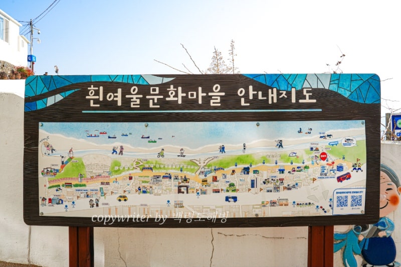 사진 5