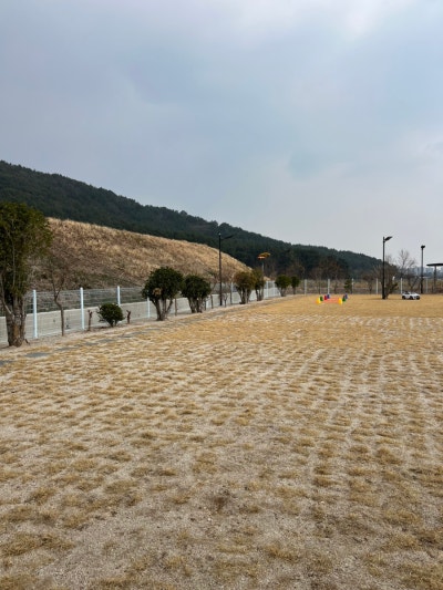 사진 2