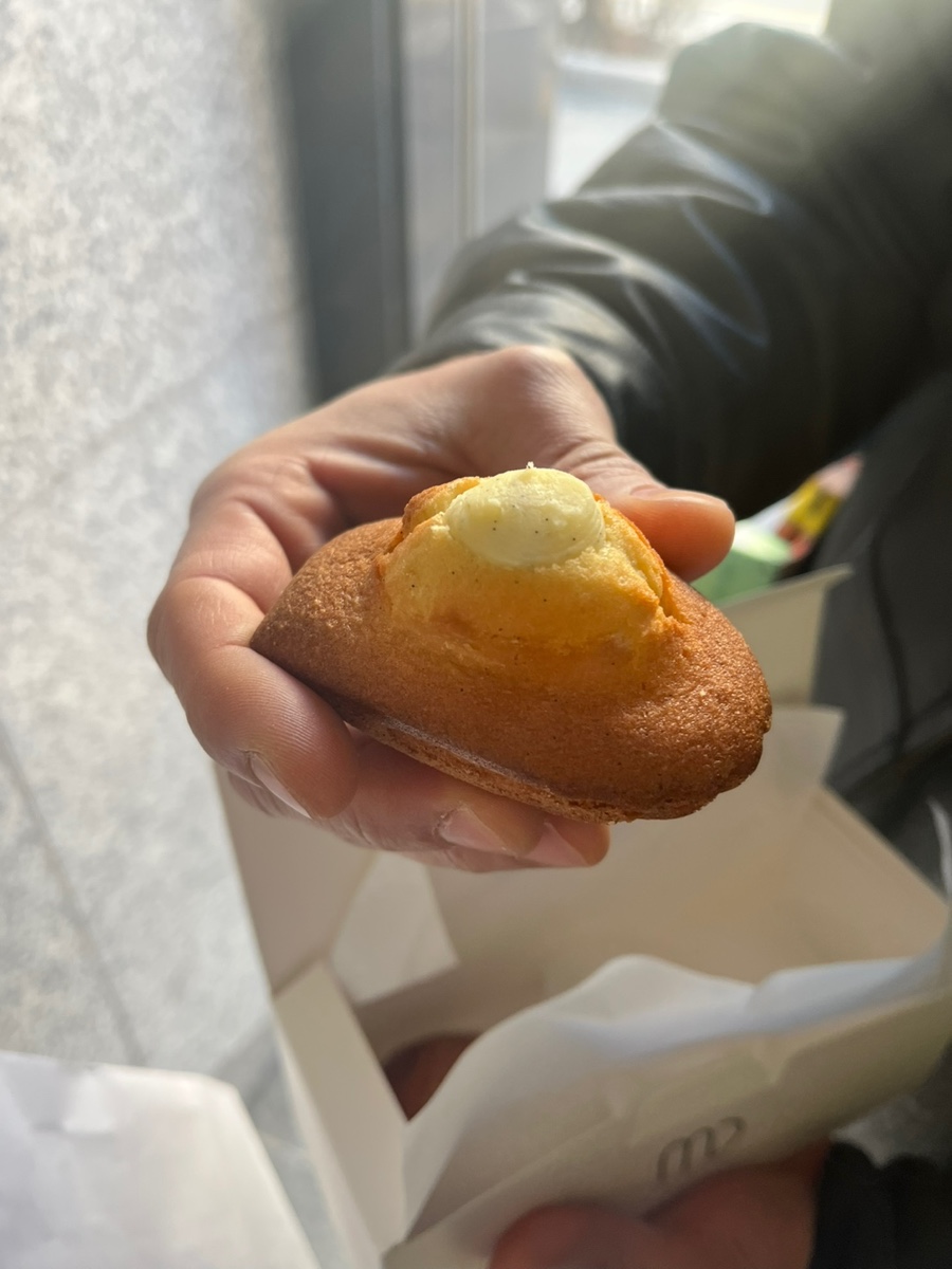 망디 사진 4