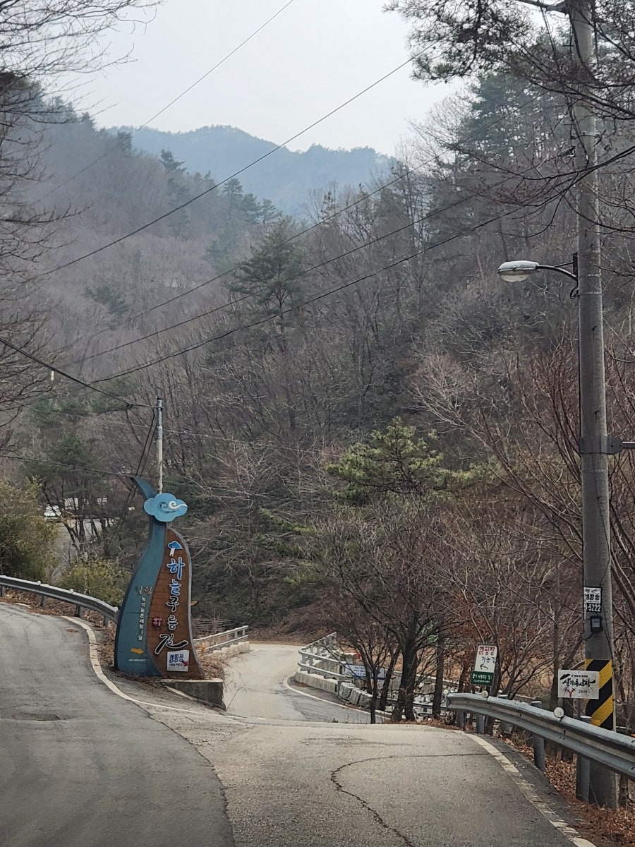 명품 송어 사진 2