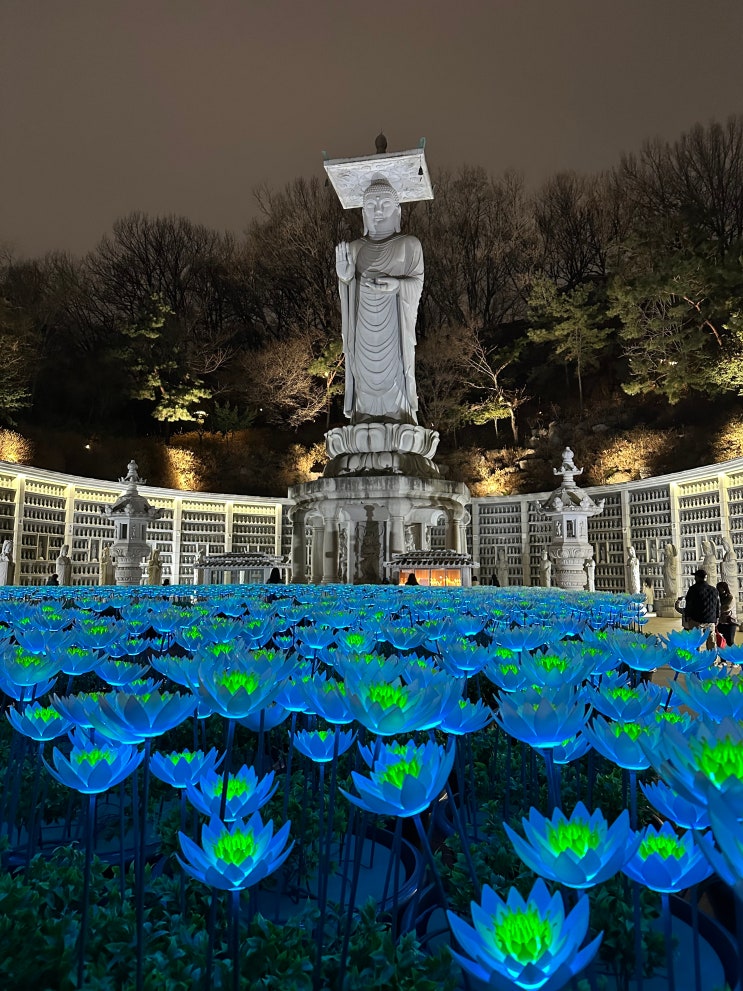  강남 도심 속 명당, 불교 초보의 마음 편안해지는 봉은사 야경 산책