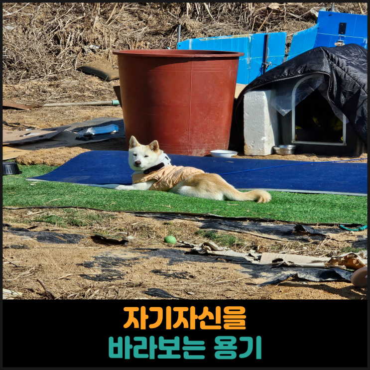  자기 자신을 바라보는 용기