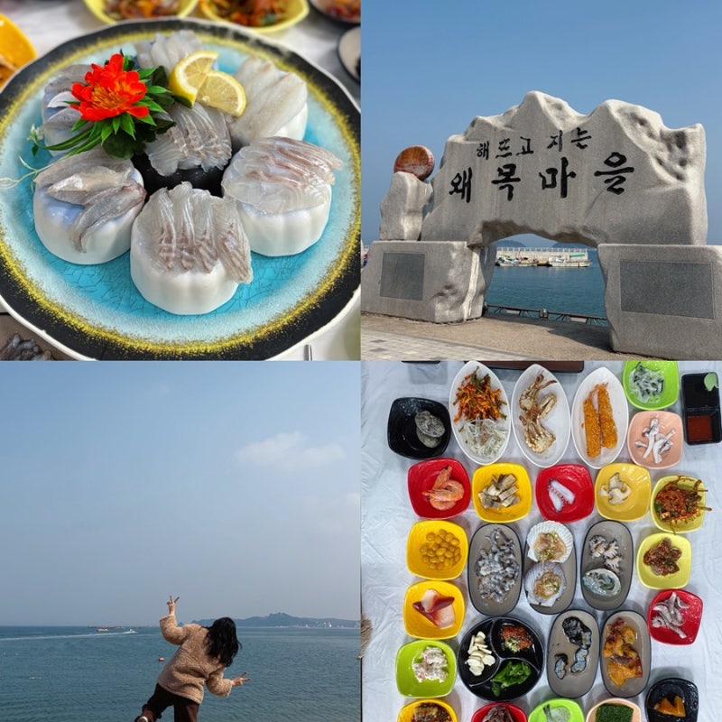 [당진] 반찬 25가지 푸짐한 왜목마을 횟집 ‘왜목마을 섬마을횟집’