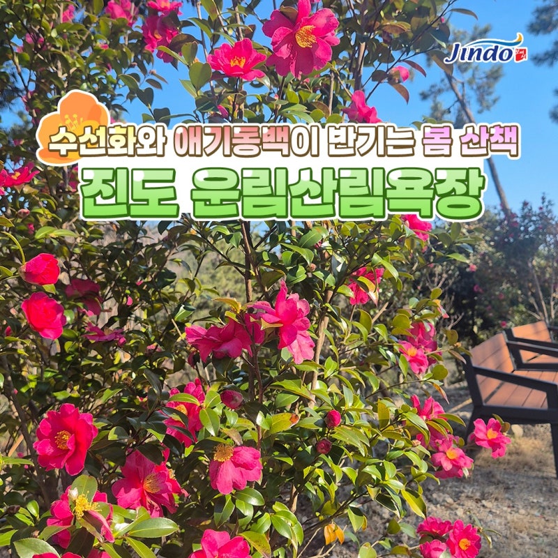 사진 3