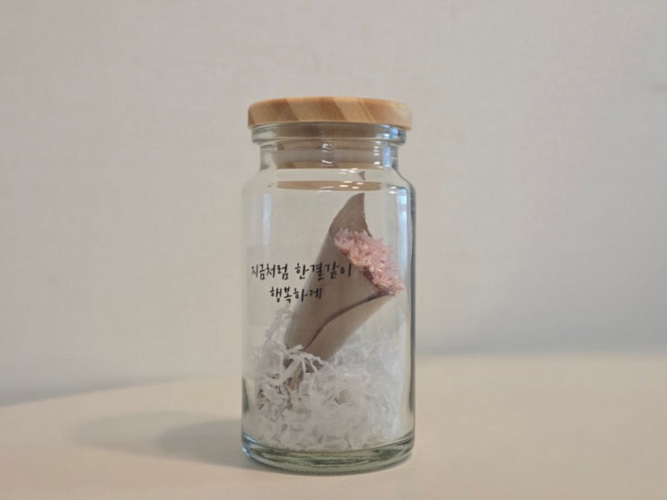  여자친구 선물 추천, 드라이 스타플라워 프리저브드 미니꽃다발 유리병 (인테리어 소품 추천)