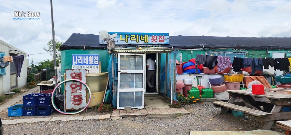 나리네 사진 1