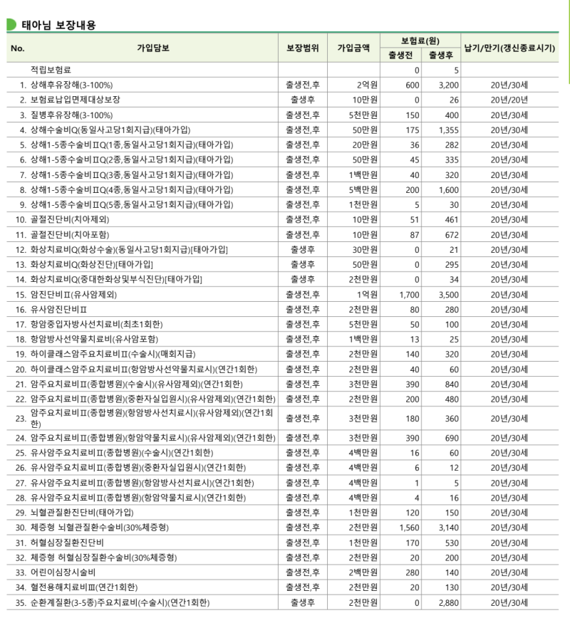 번외 ∞ 일란성쌍둥이 《29주 1일》 태아보험 가입