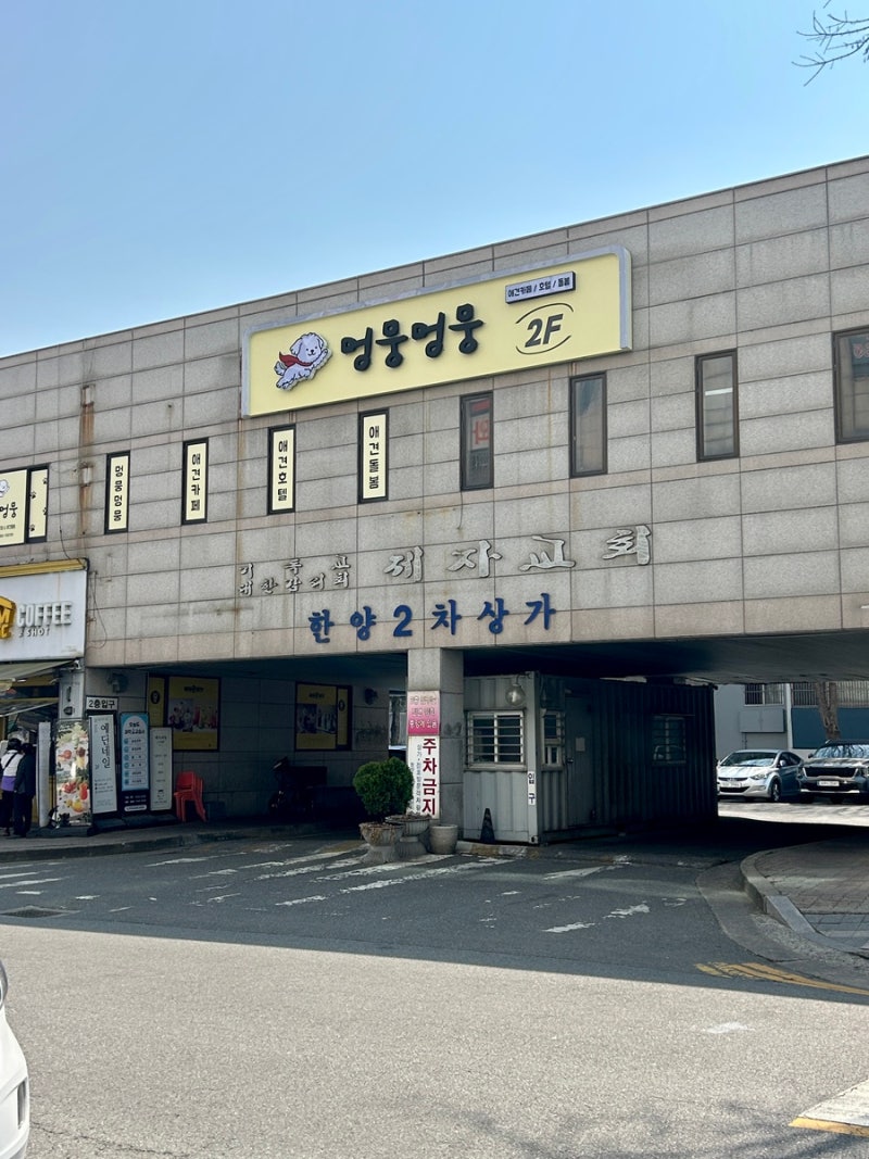 사진 3
