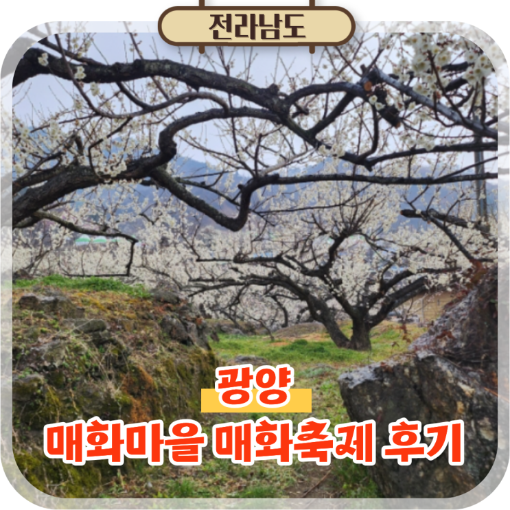  전남 광양 가볼만한곳 매화마을 매화축제 국내 여행지 추천