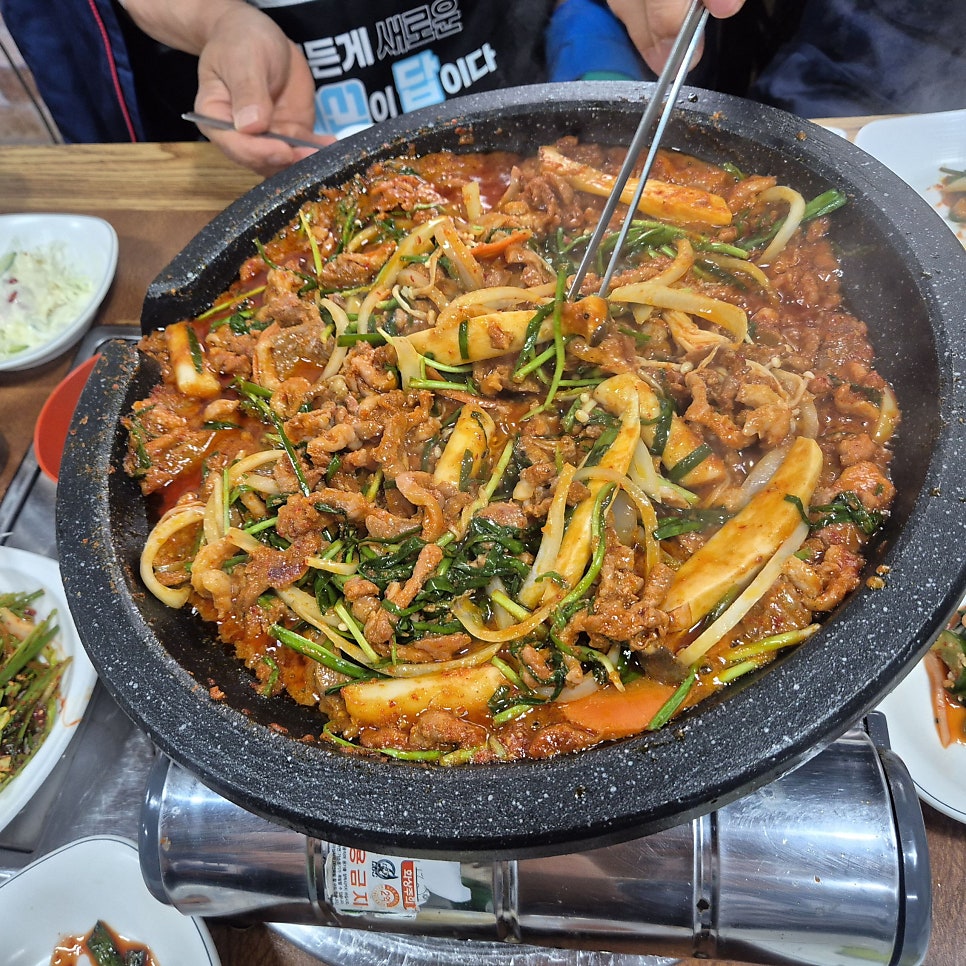 황금오리 사진 6