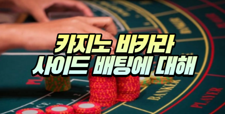  카지노 바카라 사이드 배팅 종류와 배당에 대해서