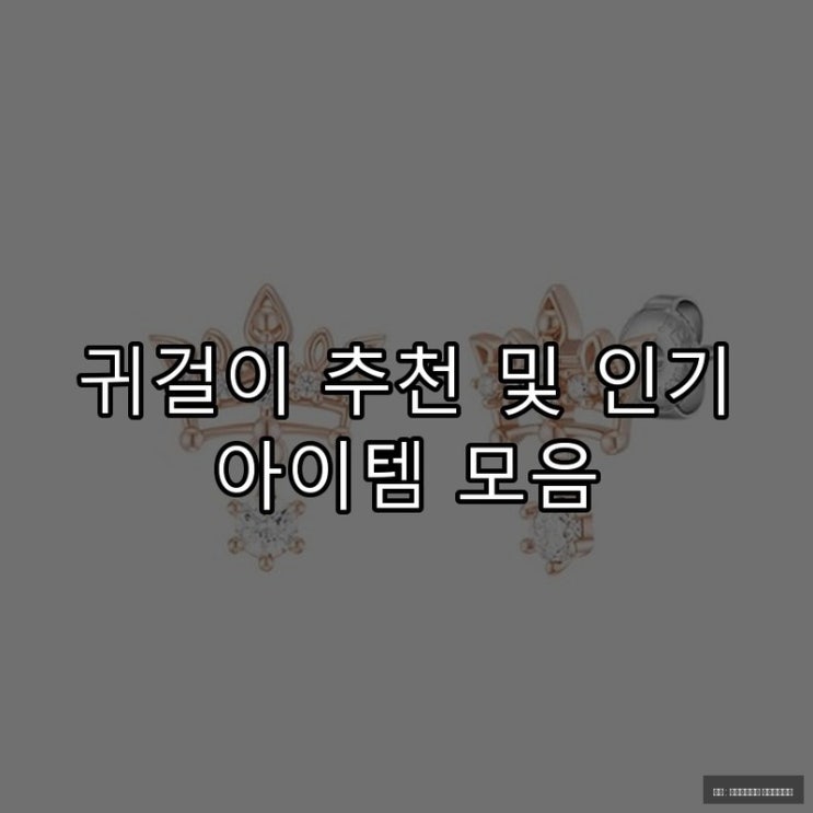  귀걸이 추천 및 인기 아이템 모음