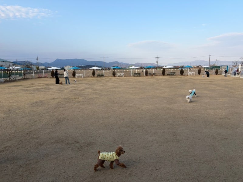 하이멍
