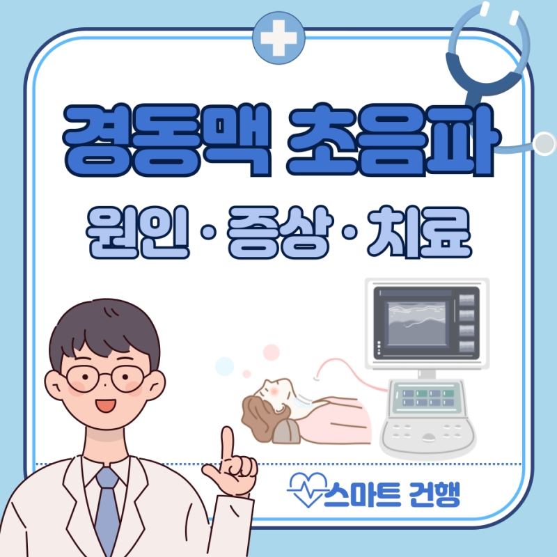경동맥 초음파 비용, 검사 방법, 목적, 결과 : 실비